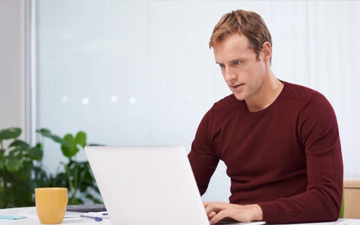 Software development